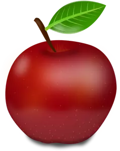 Manzana roja fotorealista con ilustración de vector de hoja verde